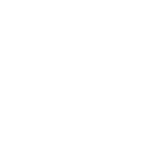 Minimalist